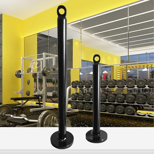 Equipment Dumbbell Barbell Rack Holder Weight Plate Loading Pin Dumbbell Rack, Weightlifting Holder Stand Fitness Loading Pin - color: Diameter 0.8 x 8.7 inches (20