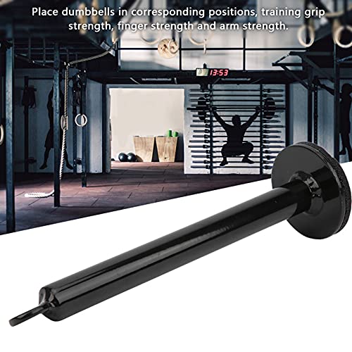 Dioche 2 Inch Pin Premium Barbell Support Frame | Stainless Steel Loading Pin for Grip Strength & Versatile Weight Training | 3 (20 Diameter*220 mm)