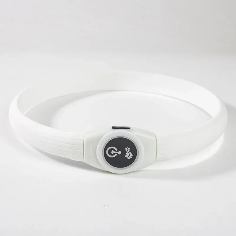LED Luminous Dog Collar USB