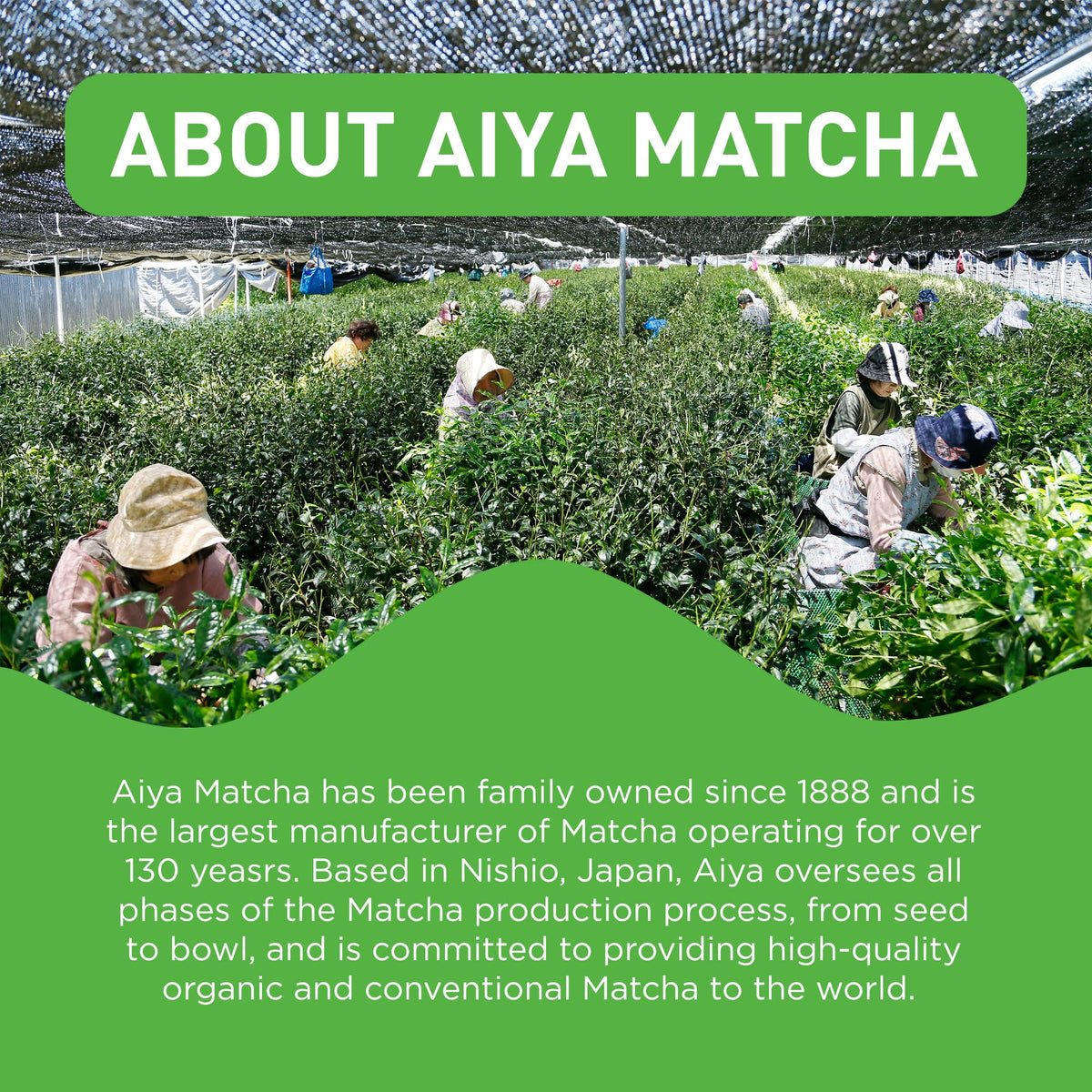 AIYA Sweetened Matcha Blend Powder 1kg – Antioxidant-Rich Japanese Green Tea for Lattes, Smoothies & More