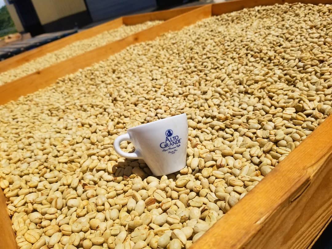 Alto Grande Premium Coffee Whole Bean - 2 Lbs - Rich Aroma & Full Body