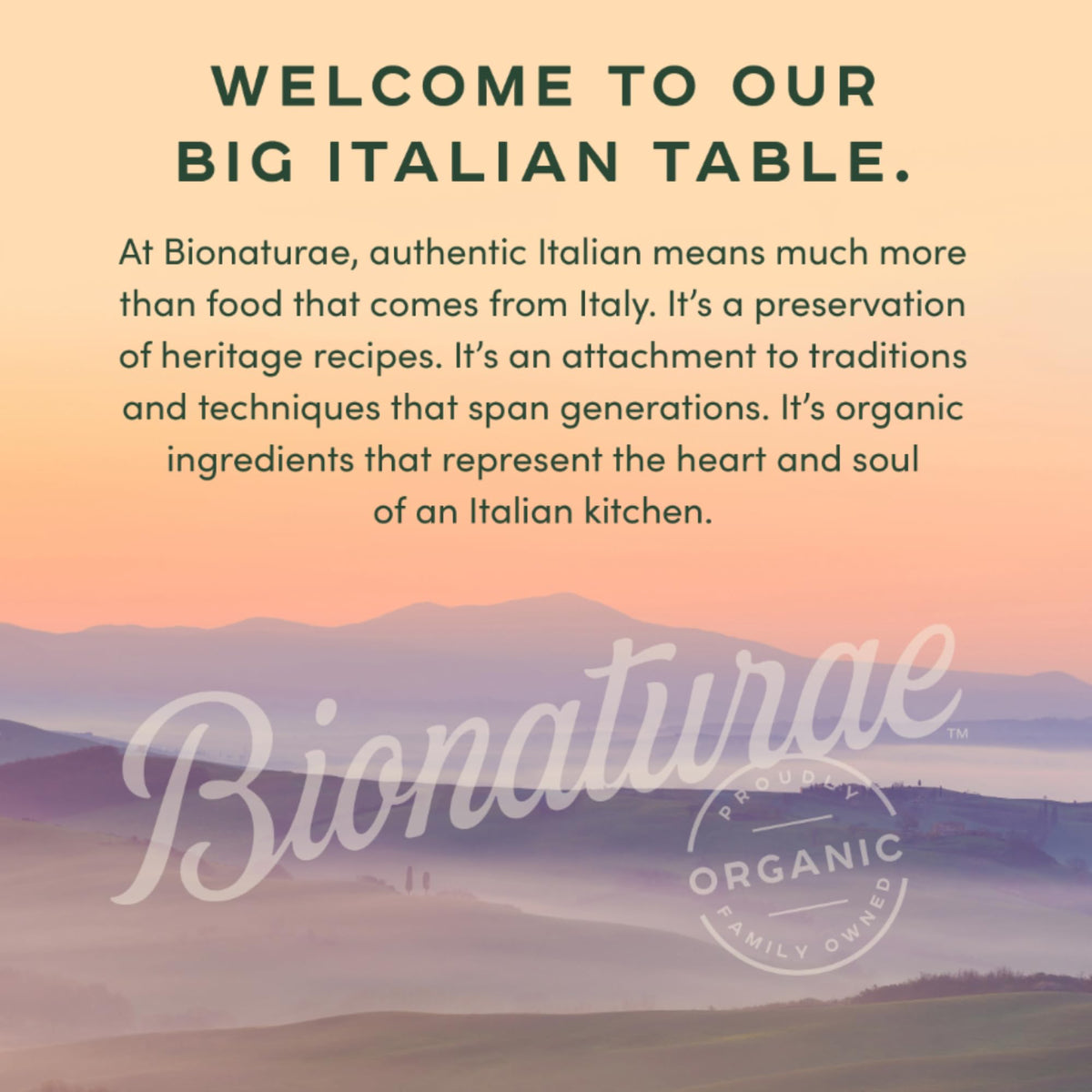Bionaturae Sourdough Spaghetti Pasta – Organic Durum Semolina, Bronze Die, Pack of 4