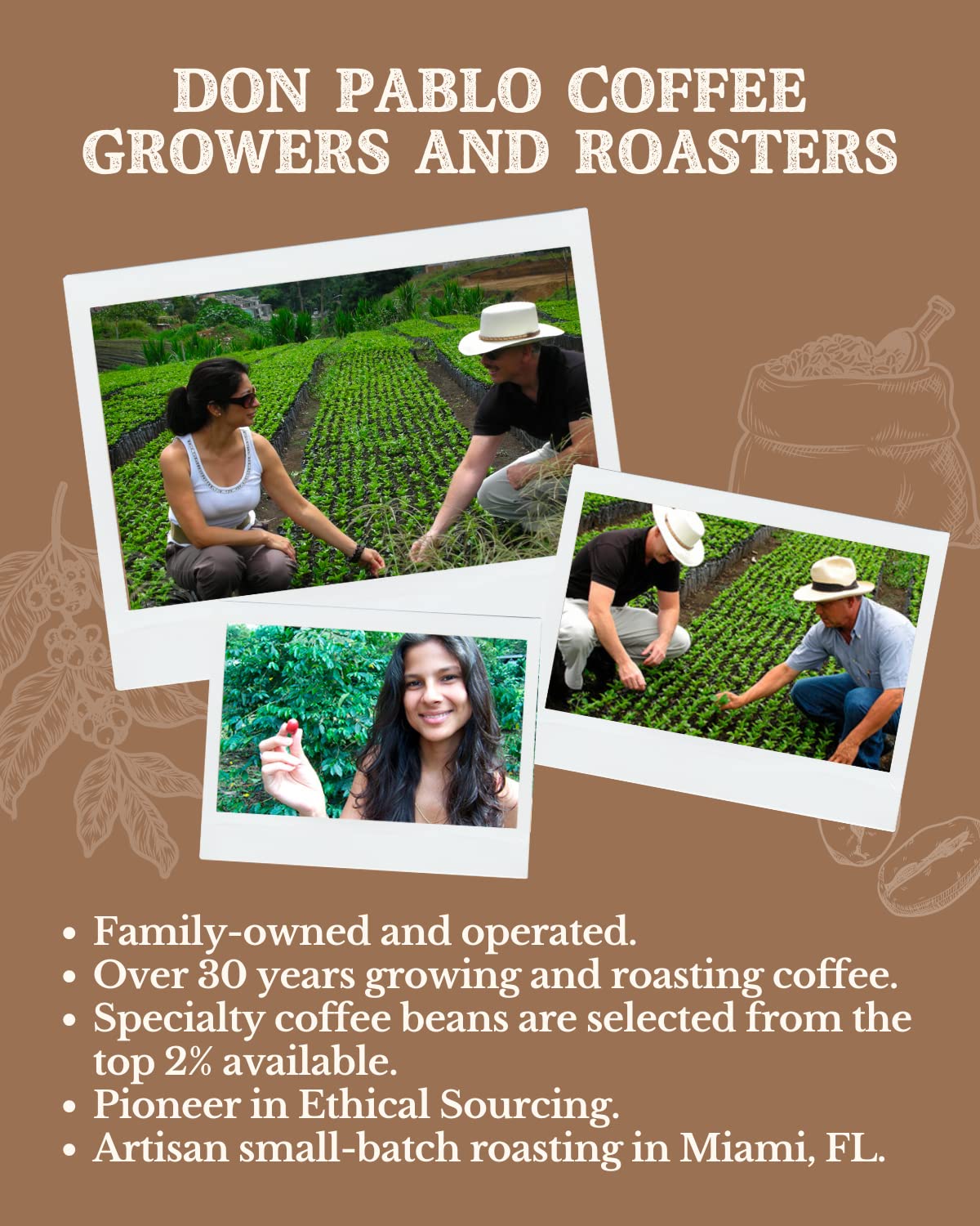 Cafe Don Pablo Subtle Earth Organic Coffee – 2lb Whole Bean, Medium-Dark Roast