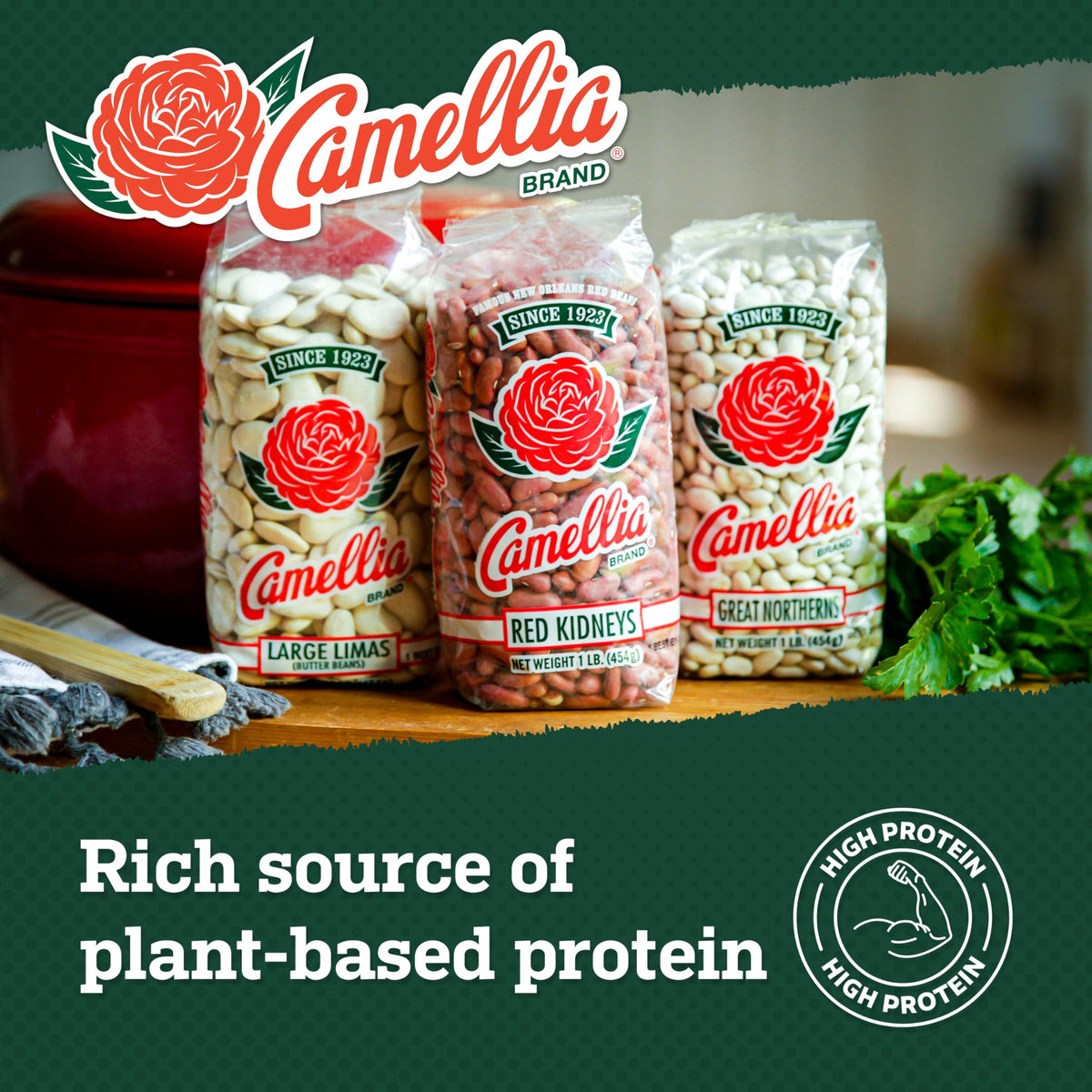 Camellia Brand Dried Red Kidney Beans – Premium Non-GMO, 1 lb (Pack of 6)