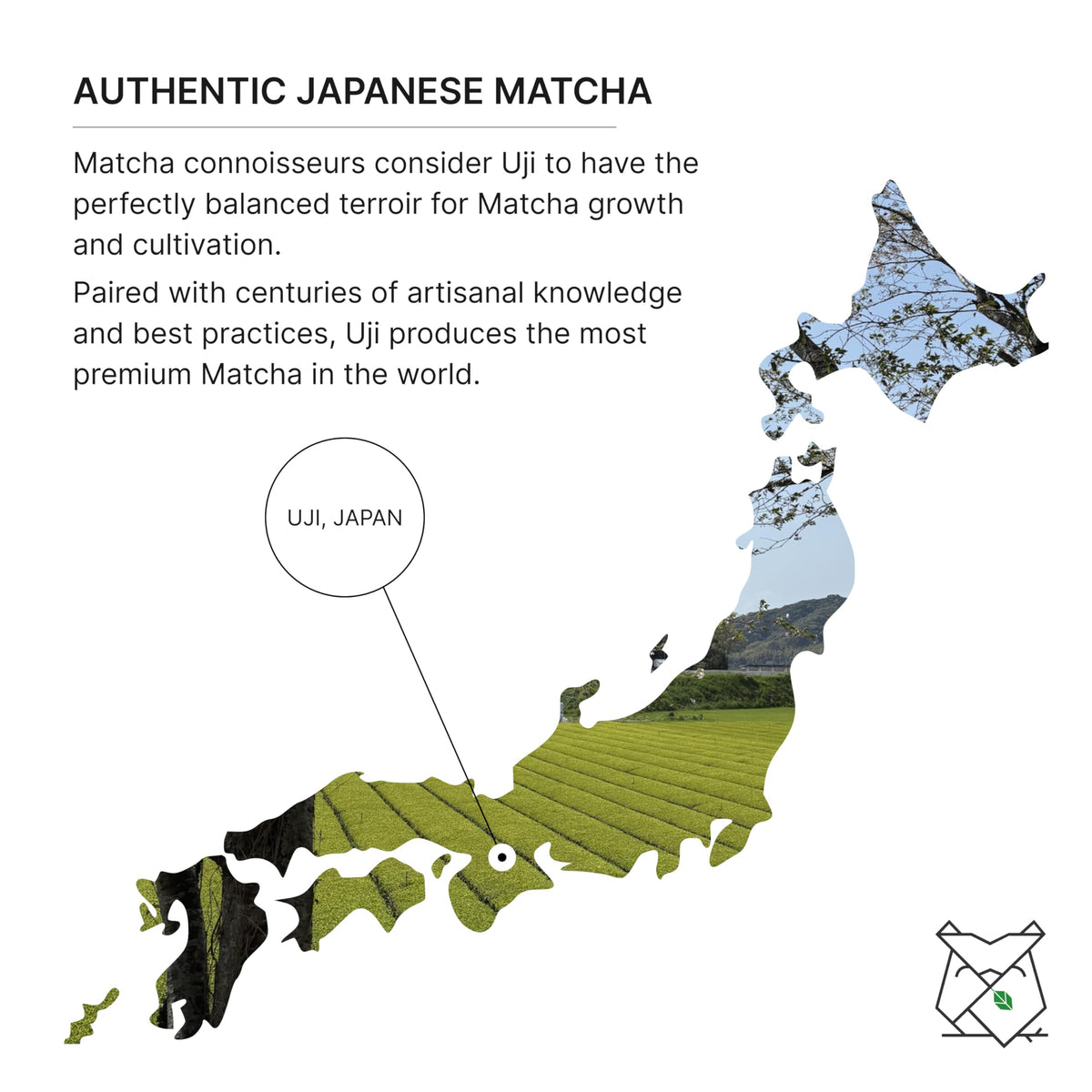 FKRO Pinnacle Reserve Ceremonial Matcha Powder — Uji, Japan (Okumidori, First Harvest) 30 g