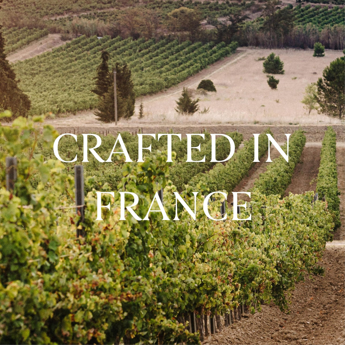 French Bloom Le Rosé 0.0% Alcohol-Free Sparkling Wine — Organic, Vegan, Sulfite-Free (750ml)