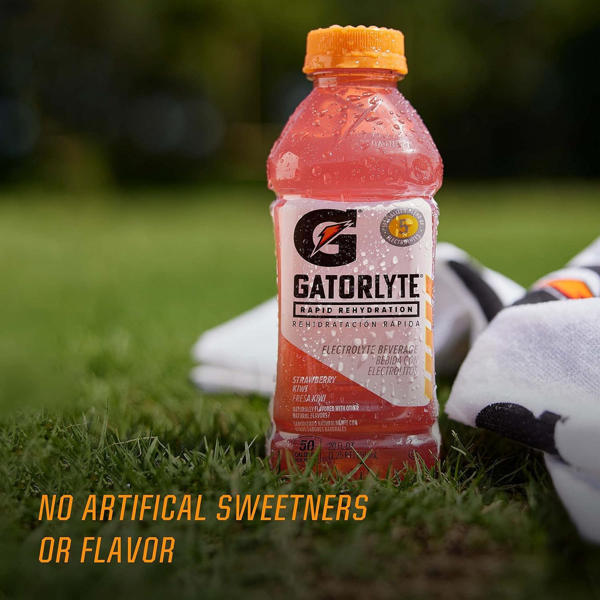 Gatorlyte Rapid Rehydration Electrolyte Drink — 12 Bottles, 3 Flavor Variety Pack, 5 Electrolytes, Low Sugar