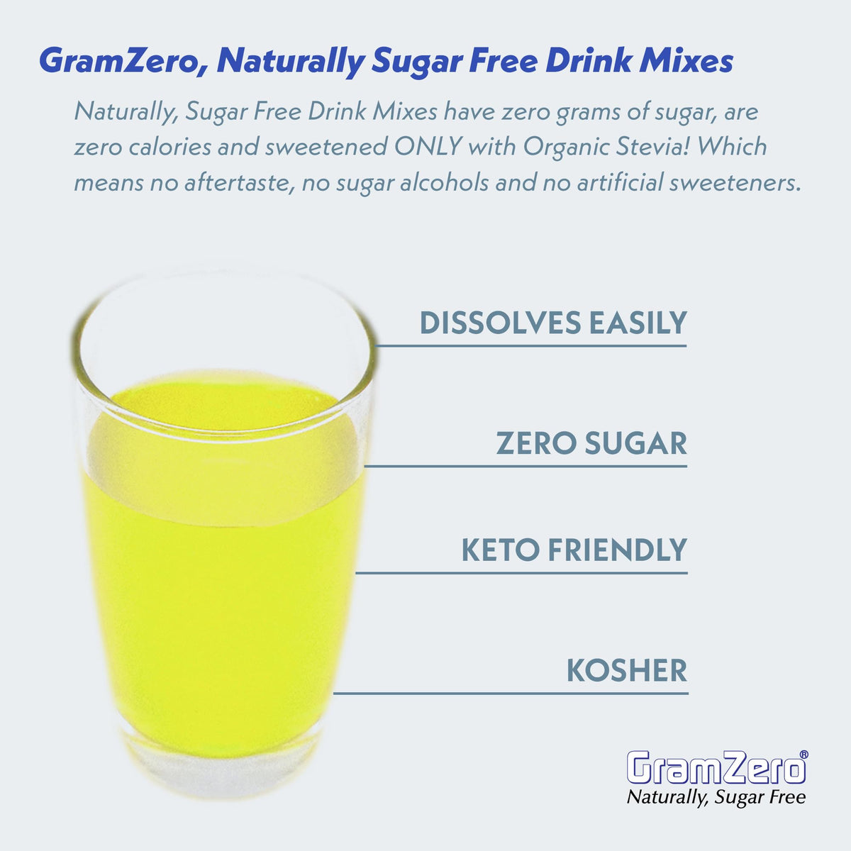 GramZero All Natural Pineapple Zero Calorie Drink Mix | Stevia Sweetened