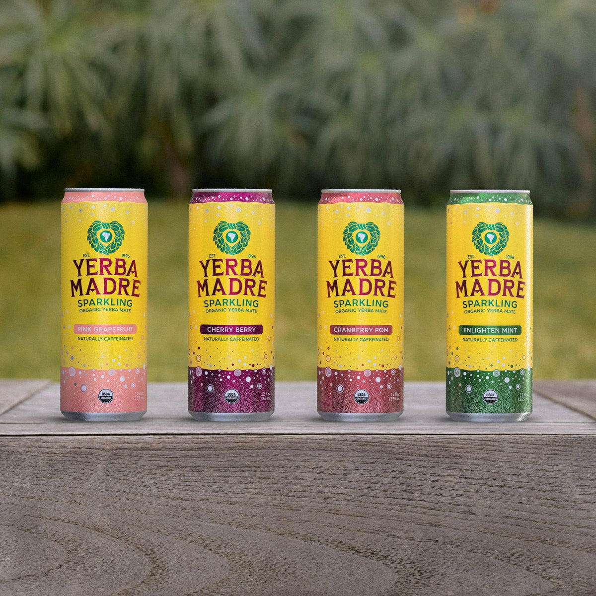 Guayaki Yerba Madre Organic Sparkling Yerba Mate Cherry Berry – 12 Pack, 115 mg Caffeine
