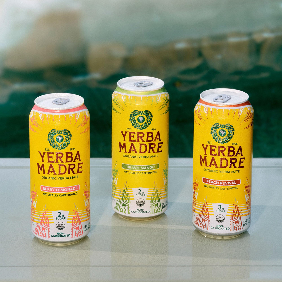 Guayaki Yerba Madre Organic Yerba Mate — Lower-Sugar Pack, 150mg Caffeine, 12 x 15.5oz Cans