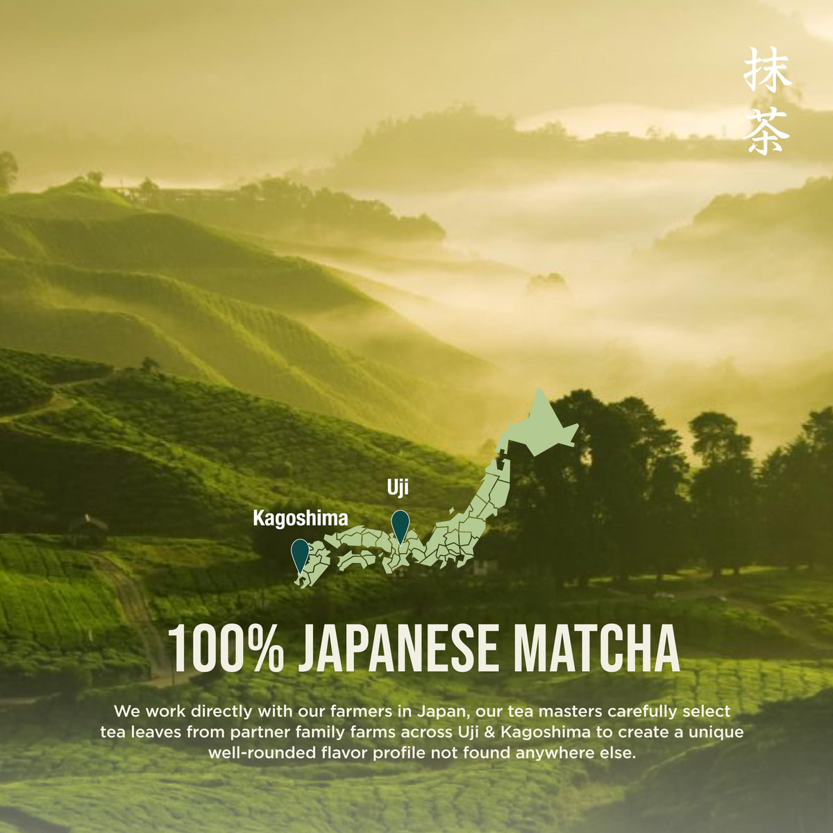 Jade Leaf Matcha Ceremonial Grade Powder – 50g Organic First Harvest (Uji & Kagoshima)