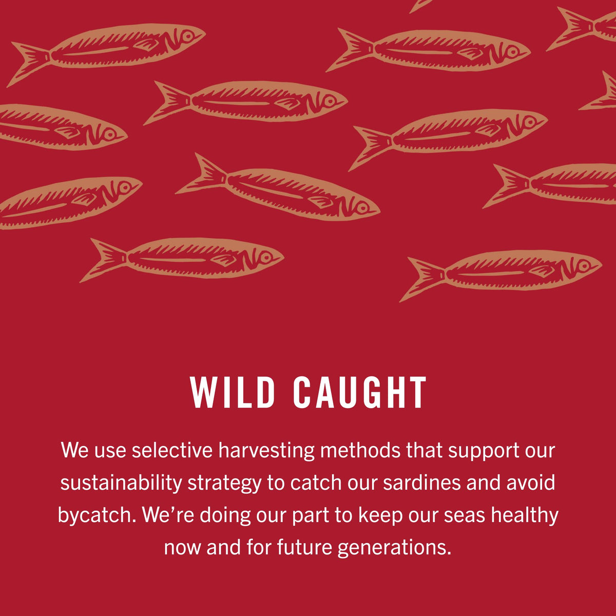 King Oscar Wild Caught Brisling Sardines in Pure Spring Water – 3.75 oz, Pack of 12