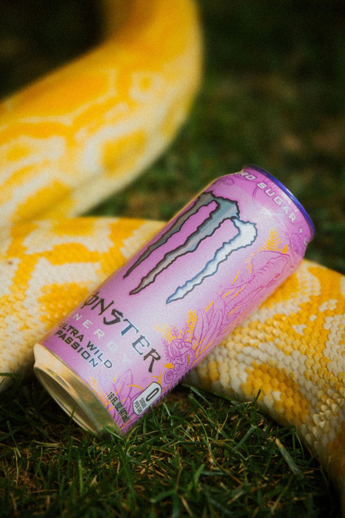 Monster Energy Ultra Wild Passion Sugar Free Energy Drink – 16 oz Can Pack of 15