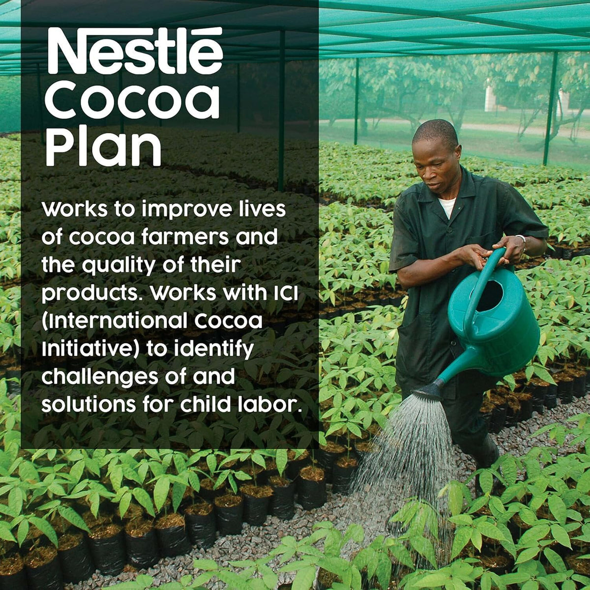 Nestle Milk Chocolate Hot Cocoa Packets – 60 Count, 0.71 oz Each