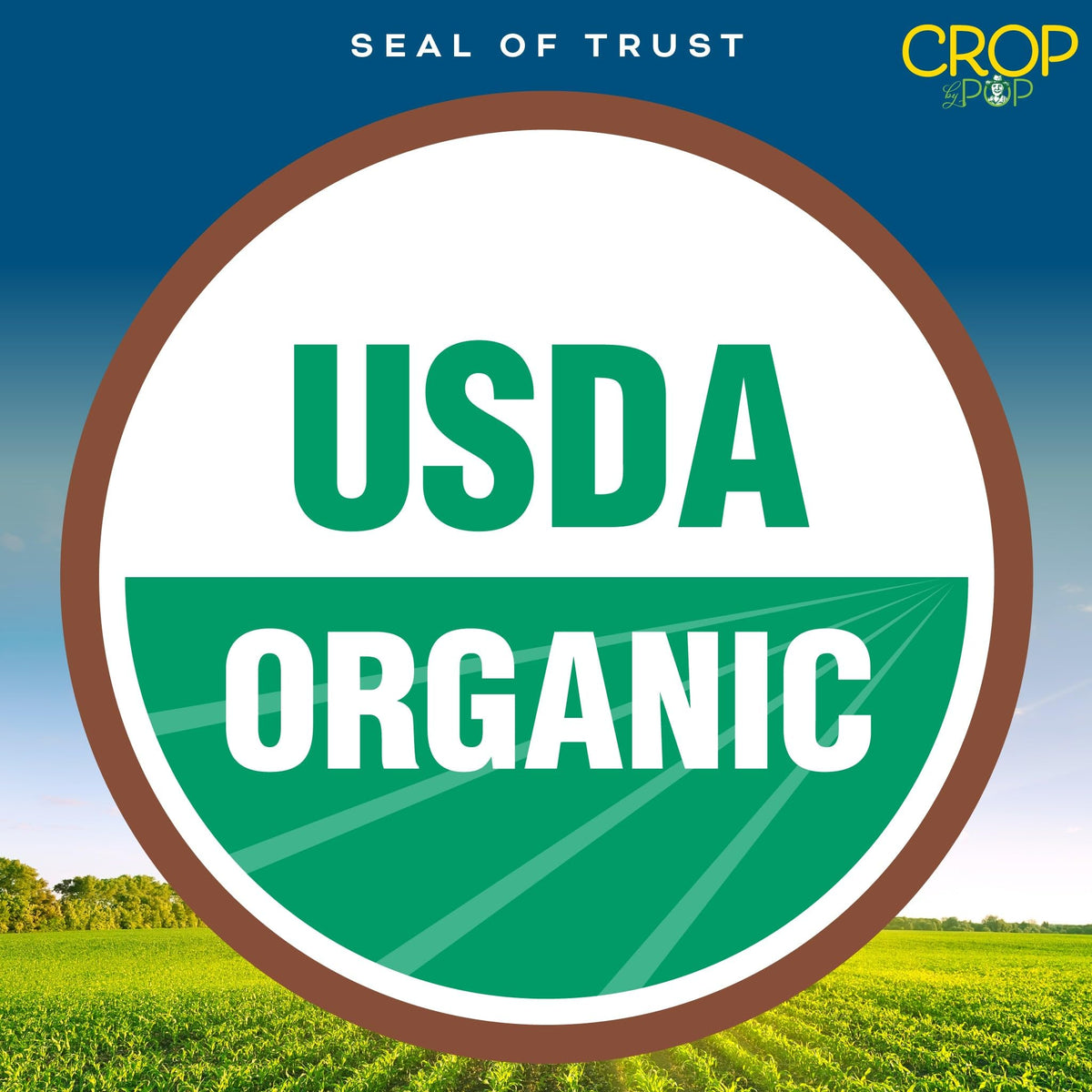 Crop by Pop Organic Raw Brazil Nuts (16 oz) – USDA Organic, Non-GMO, Resealable Bag | Nut Cravings