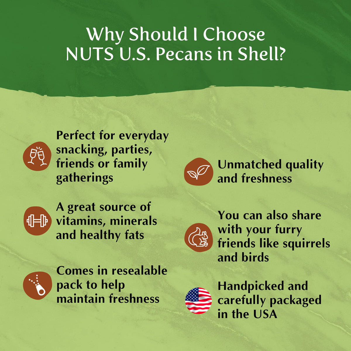 NUTS U.S. Pecans In Shell – Whole Raw Unsalted, 2 LBS | Easy to Crack