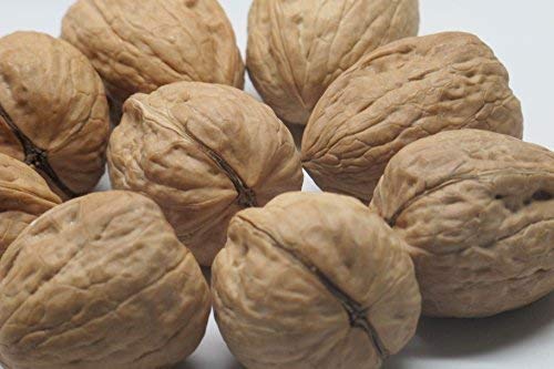Presto Sales Walnuts in Shell – Hartley Choice, Low-Carb & High-Protein, 5 lb Box