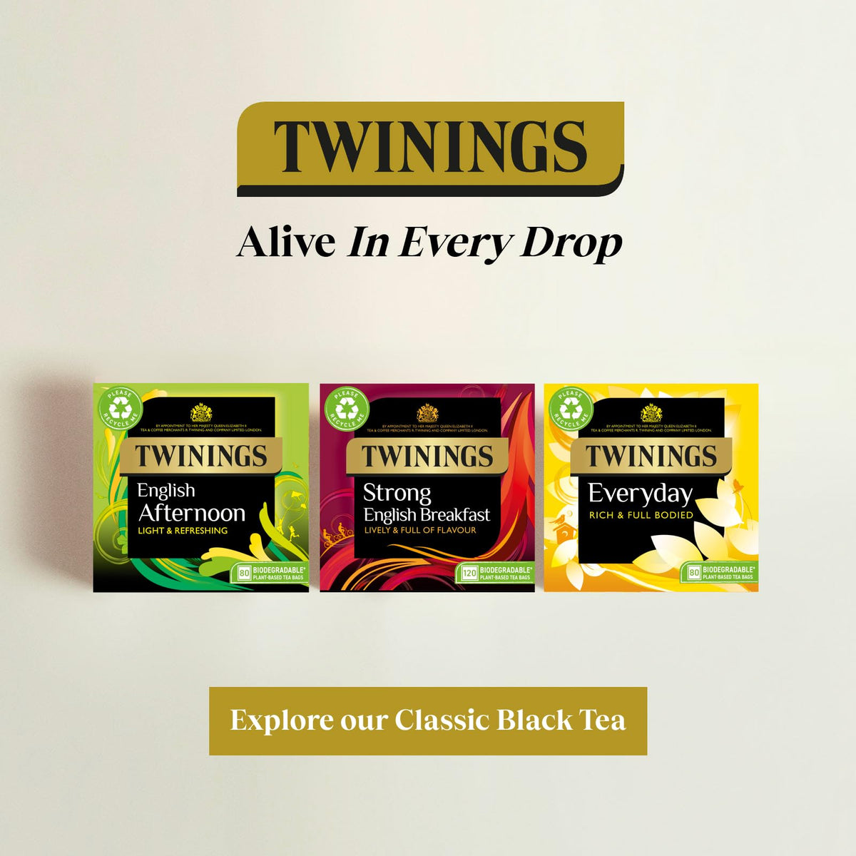 Twinings 1706 Strong Breakfast 80's – Pack of 4 (320 Tea Bags) | Bold Assam & Kenyan Blend