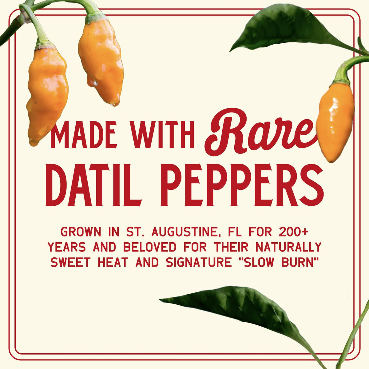 Zab's Hot Sauce Gift Set — Original, St. Augustine Style, & Hot Honey (3 Pack)