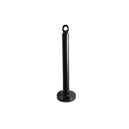 Fitness Loading Pin Cable Pulley Systems Weight Plates Barbell Plate Support Frame Freeweight Rod Loading Pin Equipment