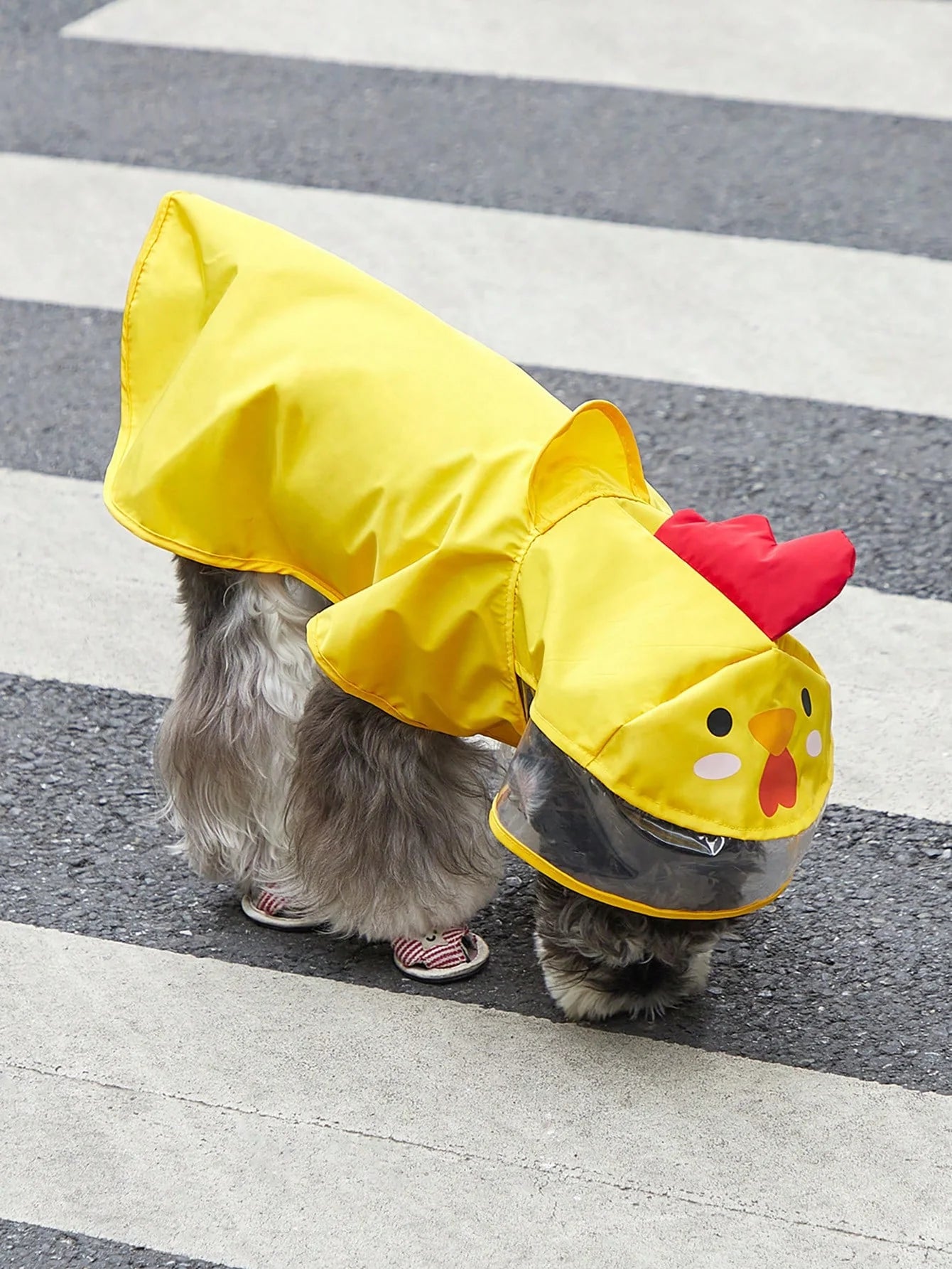 PETSIN Cartoon Chicken Pet Raincoat