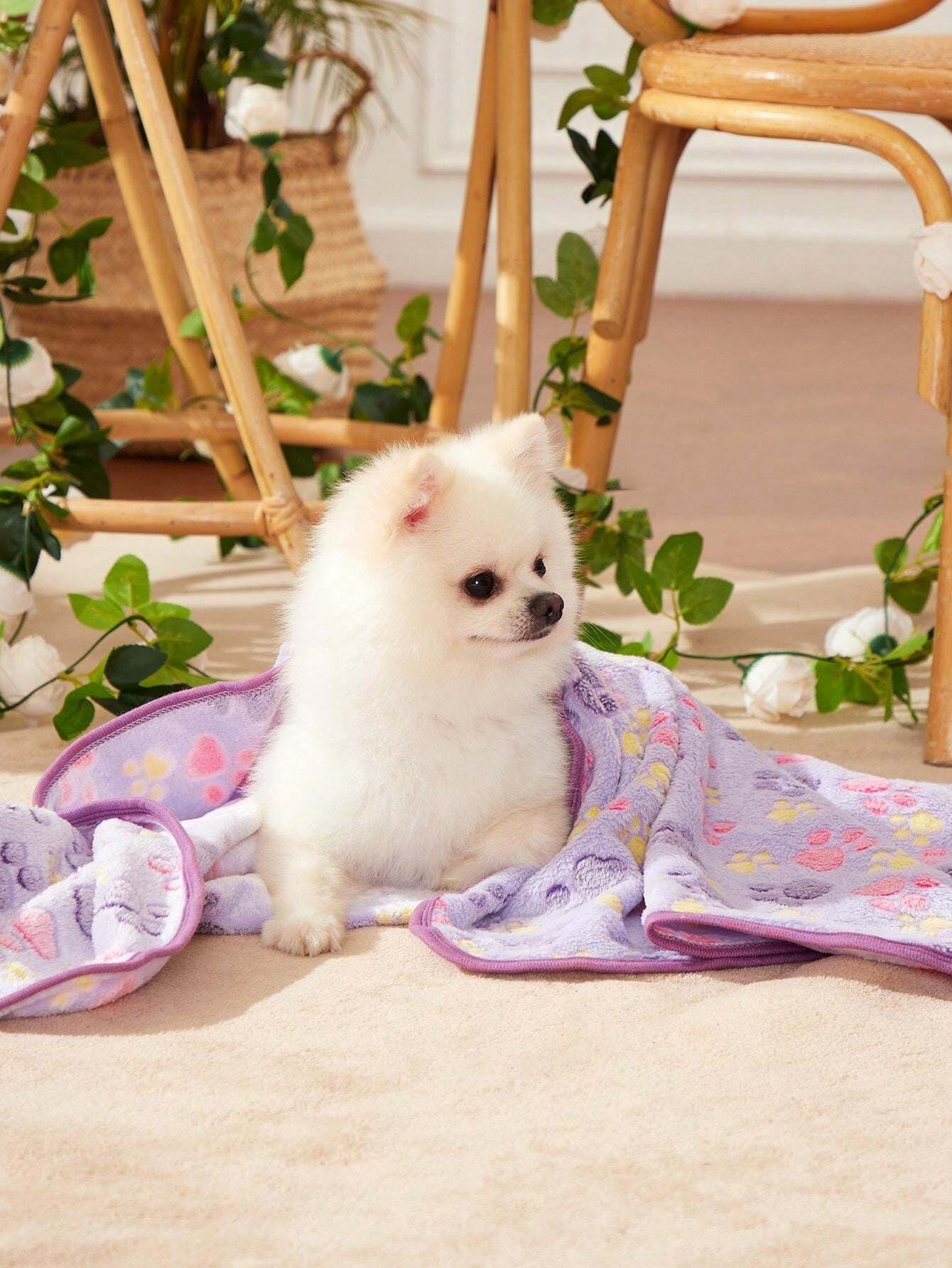 PETSIN Purple Paw Print Blanket