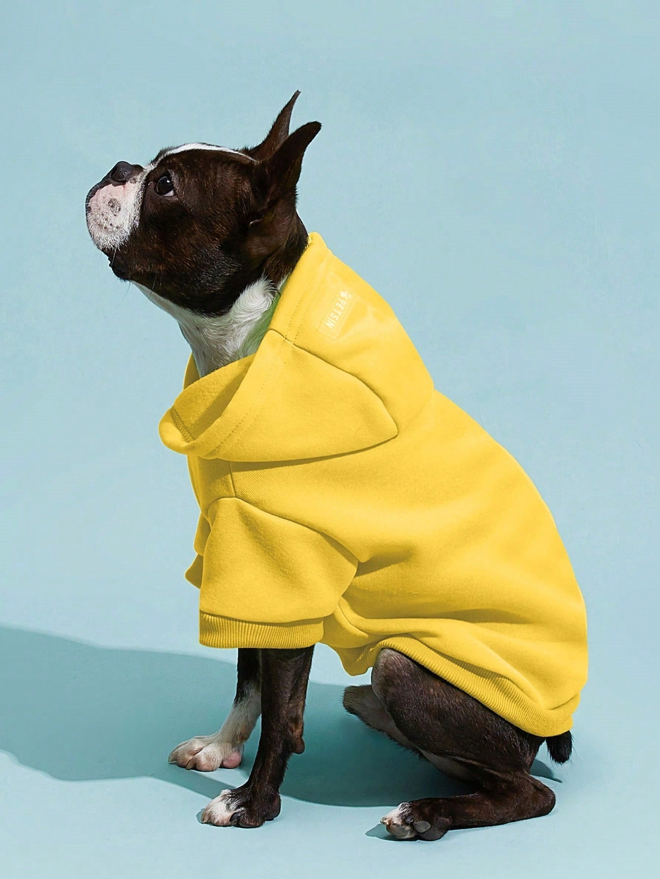 PETSIN Solid Color Pet Hoodie