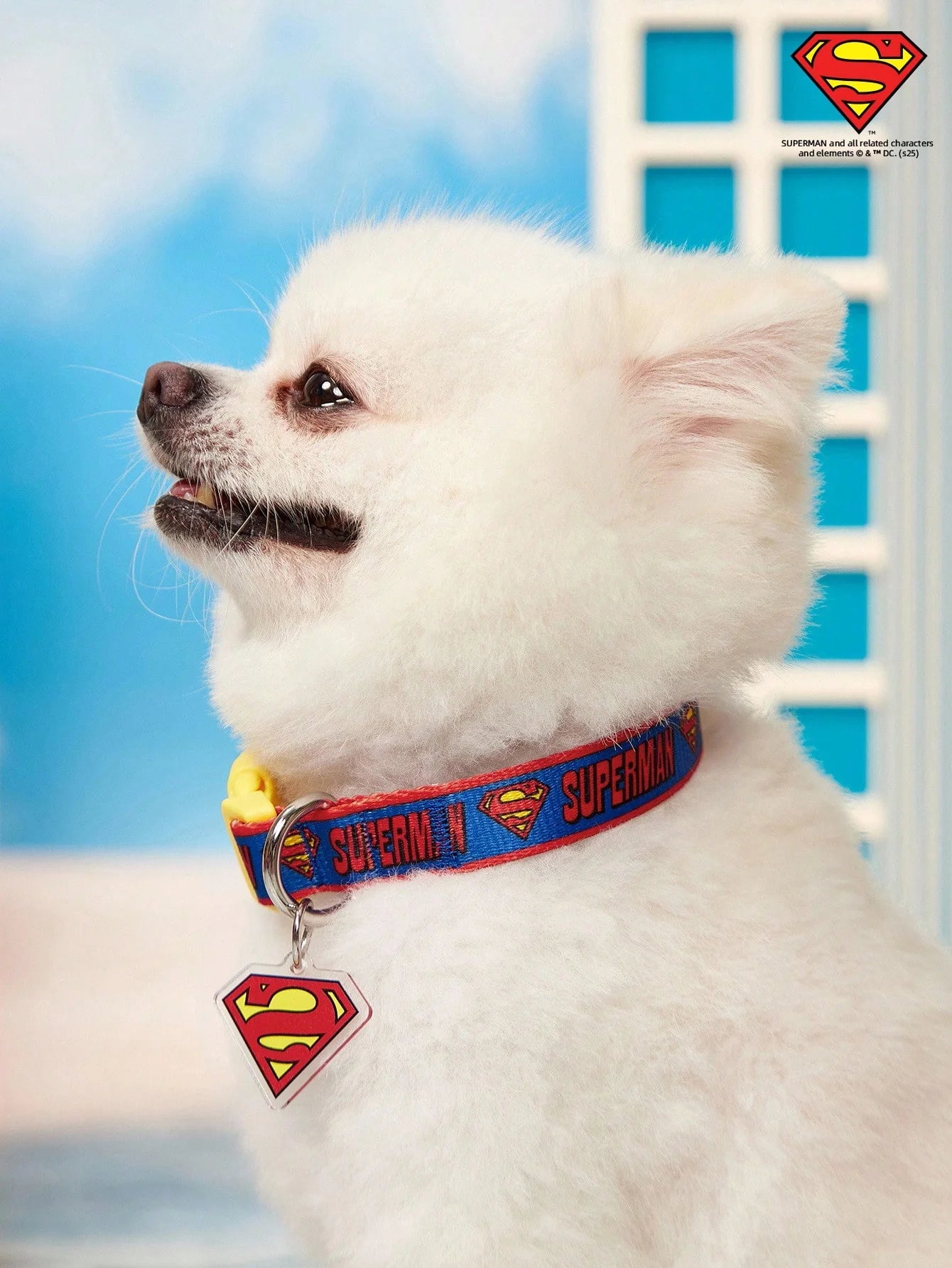 SUPERMAN PETSIN Dog Collar