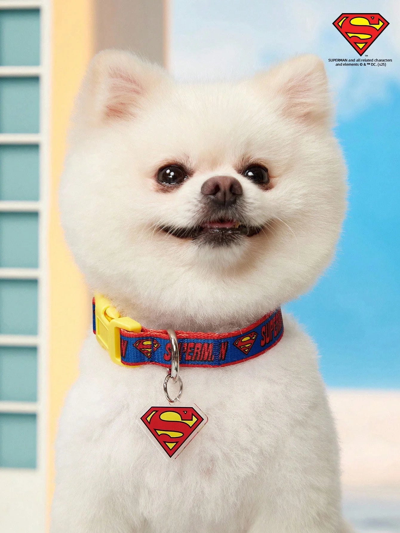 SUPERMAN PETSIN Dog Collar