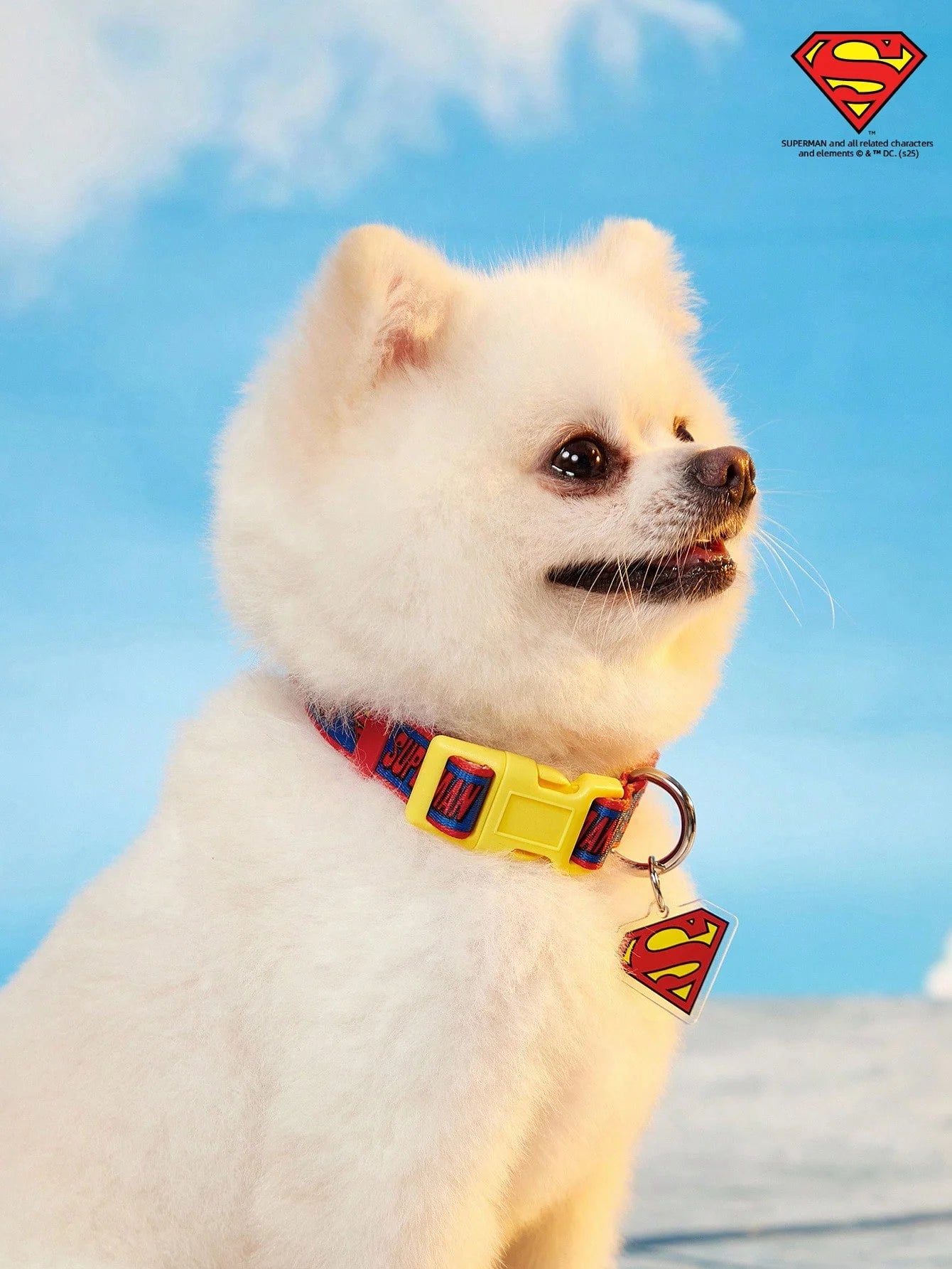 SUPERMAN PETSIN Dog Collar