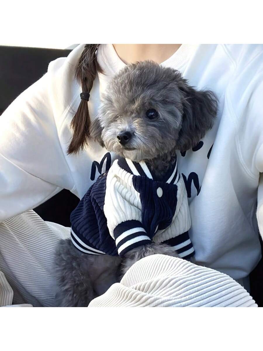 PETSIN Dog Baseball Jacket