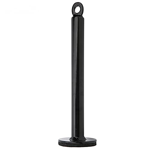 Estink Loading Pin Stainless Steel Weight Plate Holder Grip Training Tool 20mm or 48mm Tube 220mm or 320mm Length for Forearm Work Home Gym Strength Practice - size: 20 diameter*220mm