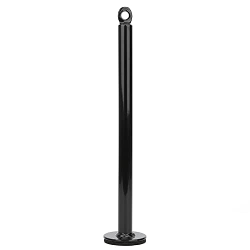 Estink Loading Pin Stainless Steel Weight Plate Holder Grip Training Tool 20mm or 48mm Tube 220mm or 320mm Length for Forearm Work Home Gym Strength Practice - size: 20 diameter*320mm
