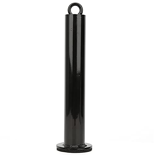 Pissente Barbell Support Frame Loader Pin, Stainless Steel Loading Pin for Grip Strength Arm Training Home Gym Free Weight Setup - size: 48 diameter * 320 mm