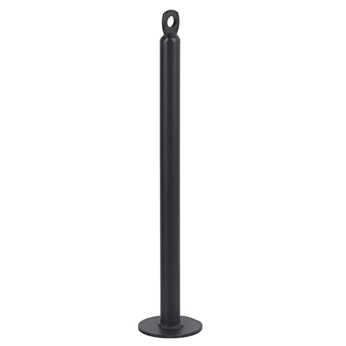 Estink Loading Pin Stainless Steel Weight Plate Holder Grip Training Tool 20mm or 48mm Tube 220mm or 320mm Length for Forearm Work Home Gym Strength Practice - size: 20 diameter*320mm