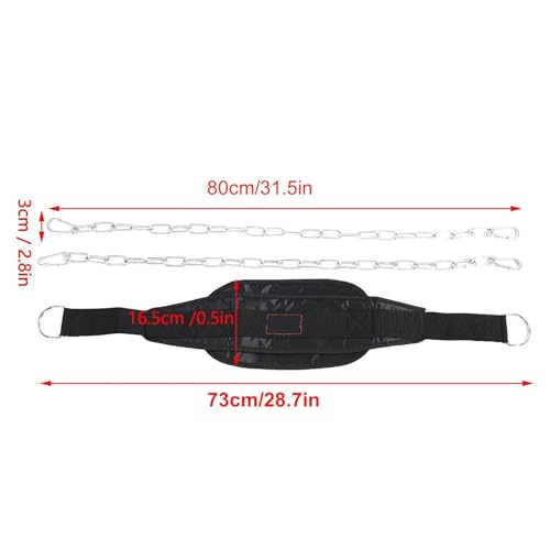 Drop Weight Belt, Gym Dip Belt with Waist Chain, Strength ing Equipment for Pul Up, Ten Gym Pull Up Bar Plate Weight with 2 Iron,