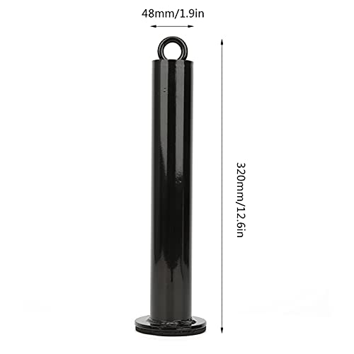 Ejoyous Barbell Loading Pin, Stainless Steel Weight Plate Holder for Dumbbell Grip Strength Training, with 3 Sizes - size: 48 diameter*320mm