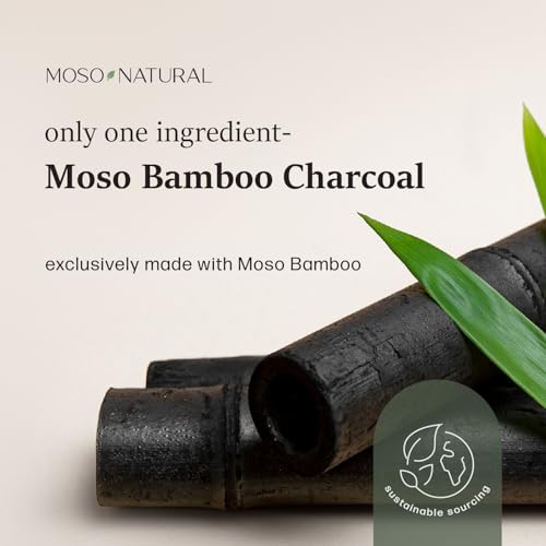 Moso Natural Shoe Deodorizer Inserts (3 Pack) Charcoal Odor Absorber for Shoes, Gym Bag & Boot Deodorizer, Unscented Shoe Odor Elimination, Air Purifying Bags, Lasts 2 Years (6 Bags) - style: 3 Pack (6 Total)