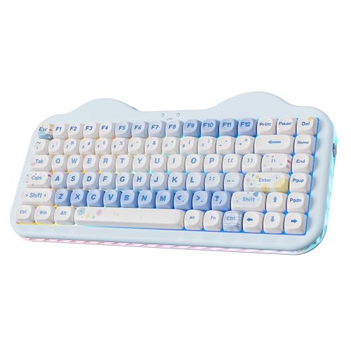 YUNZII C75 Cute 75% Wireless Mechanical Keyboard (Blue, Candy Switch) | Creamy Cake Keyboard, BT5.0/2.4G/USB-C, Hot-Swap, NKRO, PBT MOA Keycaps,5500mAh RGB Gasket Mount for Mac/Win/Gaming/Office - color: Blue, size: Candy Switch