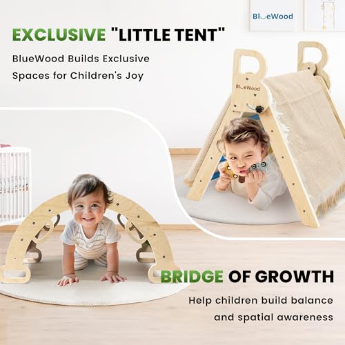 BlueWood Pikler Triangle Set with Safe Handle, Climbing Toys for 1-3 Year | Foldable 7-in-1 Montessori Toddler Climbing Toys Indoor, Wooden Pickler Climbing Set, Baby Jungle Gym & Playground, Sky Blue - color: Sky Blue