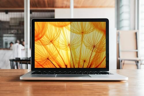 3M Bright Screen Privacy Filter for 13.3in Laptop, 16:9, BP133W9B