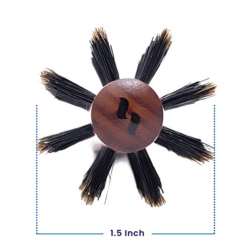 Spornette DeVille Boar Bristle Round Brush Set - Professional Hair Brushes Including 1.5, 2, and 2.5 inch Sizes - For Women, Men, & Kids - size: Set of 3 (1.5, 2, 2.5 Inch)