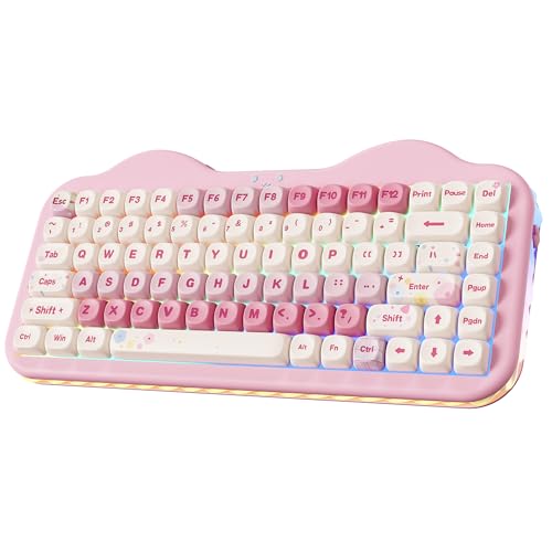 YUNZII C75 Cute 75% Wireless Mechanical Keyboard (Pink, Milk Switch) | Creamy Cake Keyboard, BT5.0/2.4G/USB-C, Hot-Swap, NKRO, PBT MOA Keycaps,5500mAh RGB Gasket Mount for Mac/Win/Gaming/Office - color: Pink, size: Milk V2 Switch