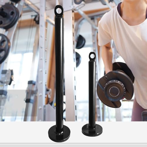 Equipment Dumbbell Barbell Rack Holder Weight Plate Loading Pin Dumbbell Rack, Weightlifting Holder Stand Fitness Loading Pin - color: Diameter 0.8 x 12.6 inches (20