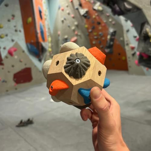 Rock Climbing Fingerboard Gifts for Rock Climbers, 3D Rock Training Ball for Grip Strength and Precision, Finger Strength Training Climbing Ball Gifts for Rock Climbers - size: 2PC