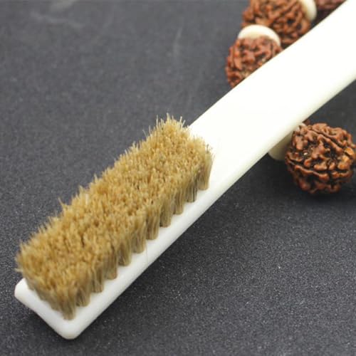Ciieeo 2pcs Climbing Rocks Brush with Boars Hair Bristles and Sturdy Handle, Outdoor Bouldering Stone Cleaning Tool for Sports Climbing Supplies