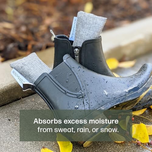 Moso Natural Shoe Deodorizer Inserts, Charcoal Odor Absorber for Shoes, Gym Bag & Boot Deodorizer, Unscented Shoe Odor Elimination, Air Purifying Bags, Lasts 2 Years (2 Bags) - style: 1 Pack (2 Total)