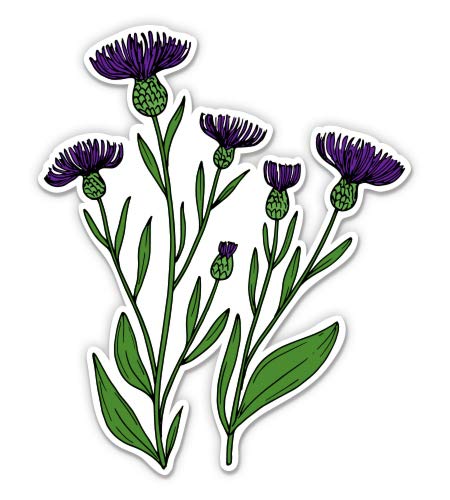 Thistle - 8" Vinyl Sticker - for Car Laptop I-Pad - Waterproof Decal - size: 8"