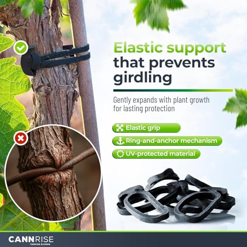 Anchor Bands for Trellising – 155-Pack 14 cm/5.5 in Rubber Vine Ties, UV-Protected Bands: Grapevines, Trees & Climbing Plants – Tool-Free Loop-and-Anchor Design for Install, Weatherproof - size: 155 pack / 5.5"