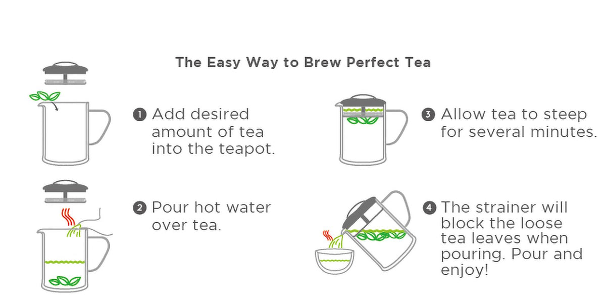 casaWare Double Wall Borosilicate Glass Tea pot with Strainer Lid